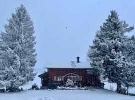 Burtscha Lodge, hotel in Bürserberg