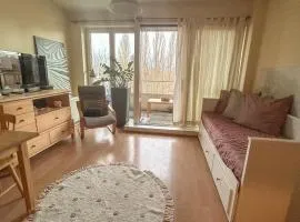 Modern Studio with Terrace Woluwe-Saint-Lambert