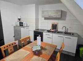 Schöne Vollausgestattete Monteurs- Gästewohnung in der Gartenstadt Leuna und nähe Geiseltalsee 2407