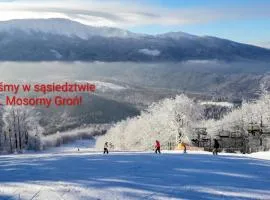 Zawoja Domek 1895 - Sauna i Bania