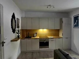 Apartament Studio Centrum