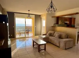 Apartment with exceptional views, Saint-Joseph