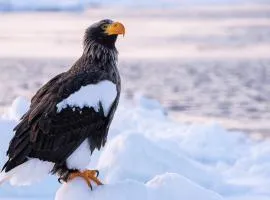 Space Share Accommodation East York Budget Friendly