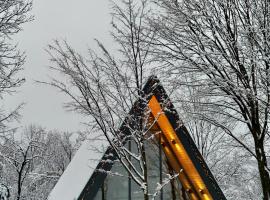 AHA Cabin, hotel in Comarnic