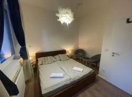 Room Apartment Barrandov