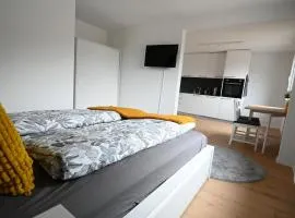 Sunny Renovated Alpine Apartment by Interlaken