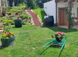 Comenius Moravus vinařský dvůr