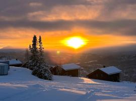 Modern cabin in Rauland with Panorama view, Hotel in Torvetjørn