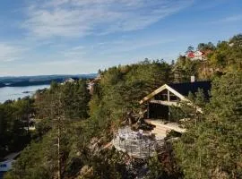 Bo I Trætoppene Med Smuk Udsigt Over Fjorden