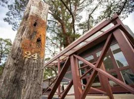 Mountain View Studio Apartment