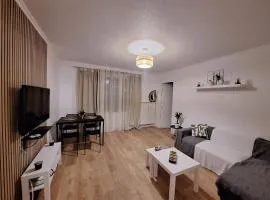 Large 3 bedroom cozy apartment