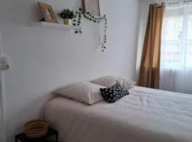 Grand 3 Bedroom Apartment Dijon