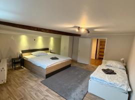 Gemütliche Ferienwohnung, Hotel in Hackenheim