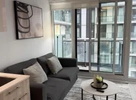 Luxury Condo Downtown Toronto