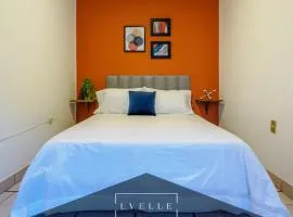 Cozy Room in a Colonial Home in CDMX -6