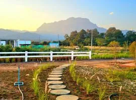 Doi Luang Vista Homestay