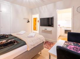 Studio in the city center FREE PRIVATE PARKING with heating plug, hotel di Kemi