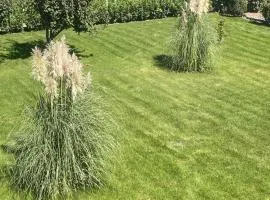 Къща Бети самостоятелни апартаменти с двор край Пловдив