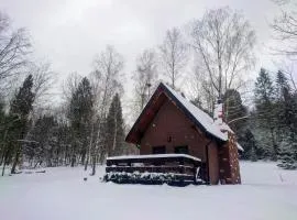 Domek w lesie DiABELSKi KOCiOŁEK