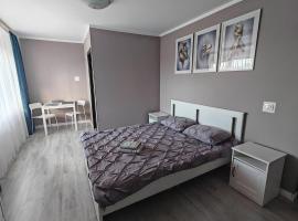 EVA's Rooms, bed and breakfast en T&acirc;rgu Mureș