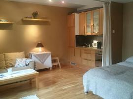 Modern cozy studio with free parking, hotel en Alta