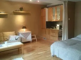 Modern cozy studio with free parking