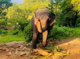 Zensigiri Ayurveda Wellness Homestay, готель у місті Сігірія