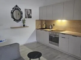 Apartament Studio Centrum