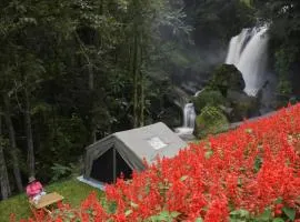 Doi Inthanon Waterfall Garden