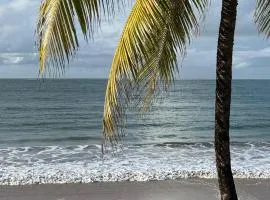 KeCocos pie en la arena Ipioca Maceio