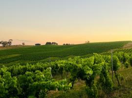 Turners Vineyard Motel, hotell i Orange