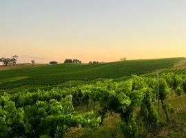 Turners Vineyard Motel