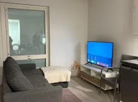 Modern City Apartment nearby Airport 2