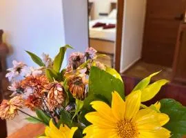 Lakeside Garden Cottages - Anuradhapura