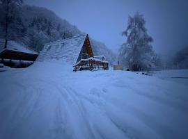 Chalet Carolina, chalet de monta&ntilde;a en Padeş