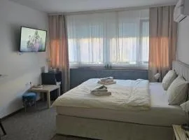 Studio apartman Tara
