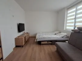 Stan na dan Žabac