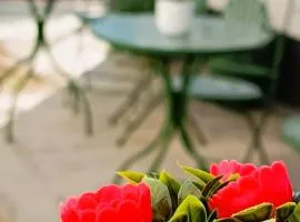 Orelli House - Bilocal Garden