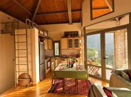 Kalavryta Villa Nano with fireplace and next the Ski Centre