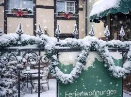 Ruhige Unterkunft im Erdgeschoss ,Nähe Schloss & UNESCO-Geopark, Waldeisenbahn, Natur und Kultur direkt vor der Tür