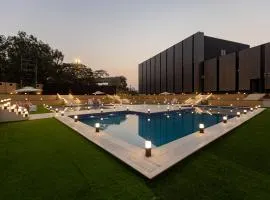 Assembly By The Democracy