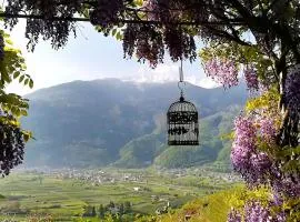 Casa il Glicine Valtellina