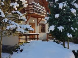 Cabana dintre Brazi，Mintia的飯店