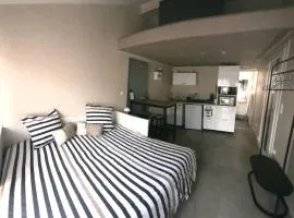 Superbe comfortable studio CHU et Université