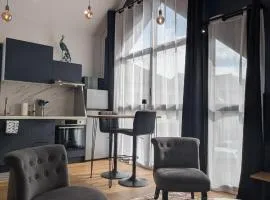 Le Loft - Résidence Chez Gally à Angers