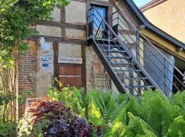 L'atypique du buisson de la gariole