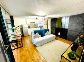 Le Cocon de la Bastille - DaLoc