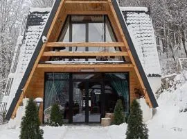 Cabana Aframe Blidari