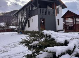 Apartamente Ambrus Praid, hotel i Praid