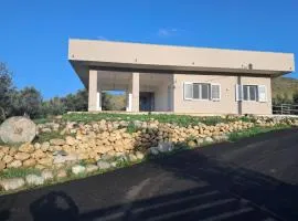 BeB Nido degli Ulivi